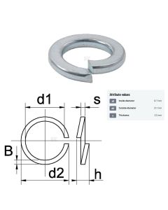 Vedruseib 1/2" 12,7x21,1x2,5 DIN127B Zn 50tk