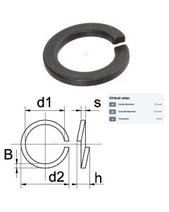 Vedruseib M8 8,5x14,8x2,0 DIN127B 100tk