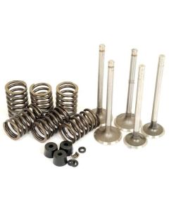 Plokikaane remondikomplekt FORD, CASE