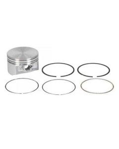 Kolb + rõngad N 793647 Briggs & Stratton OR.