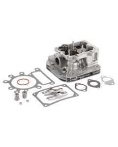 Plokikaas 796183 Briggs & Stratton OR.