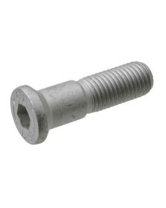 Polt M16x2-60 12,9 84953