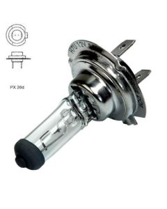 Pirn H7 12v 55w PX26D