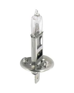 Pirn 24V 70W  P14.5s