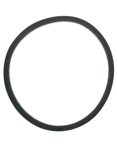 Kütusefiltri tihend F50-22 / 93009901