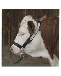 Päitsed pullidele ketiga