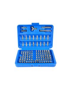 Otsikute TORX ja HEX komplekt 100-osa