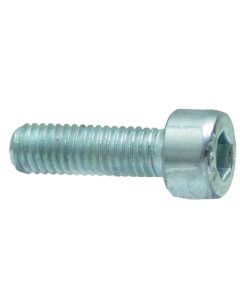 Polt M10x20 01103786