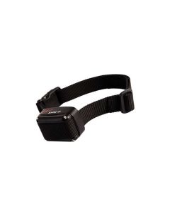 Raadiopiirde lisarihm