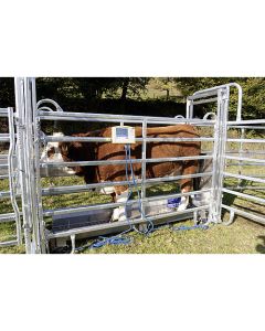 Komplektne kaalumissüsteem PATURA