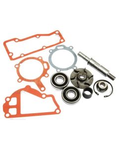 Veepumba remondikomplekt 3641333M91