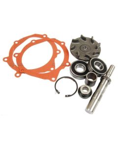 Veepumba remondikomplekt 748164M91