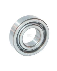 Laager NJ309-E-TVP2 INA/FAG