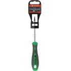 Torx kruvikeeraja T6x75mm