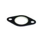 Väljalaske kollektori tihend 4223501M1