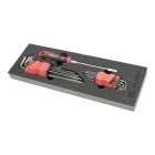 Hex & Torx võtmekomplekt 18 tk